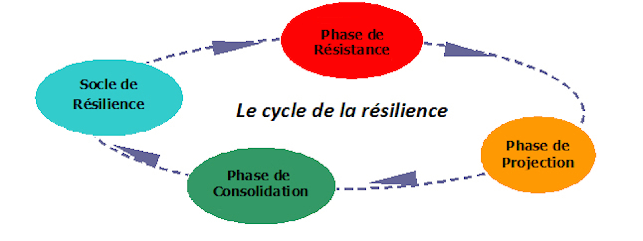 Cycle Resilience